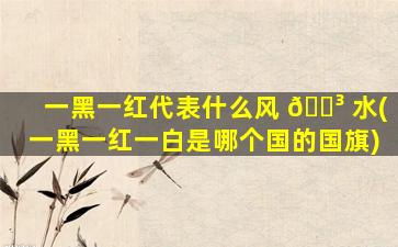 一黑一红代表什么风 🌳 水(一黑一红一白是哪个国的国旗)